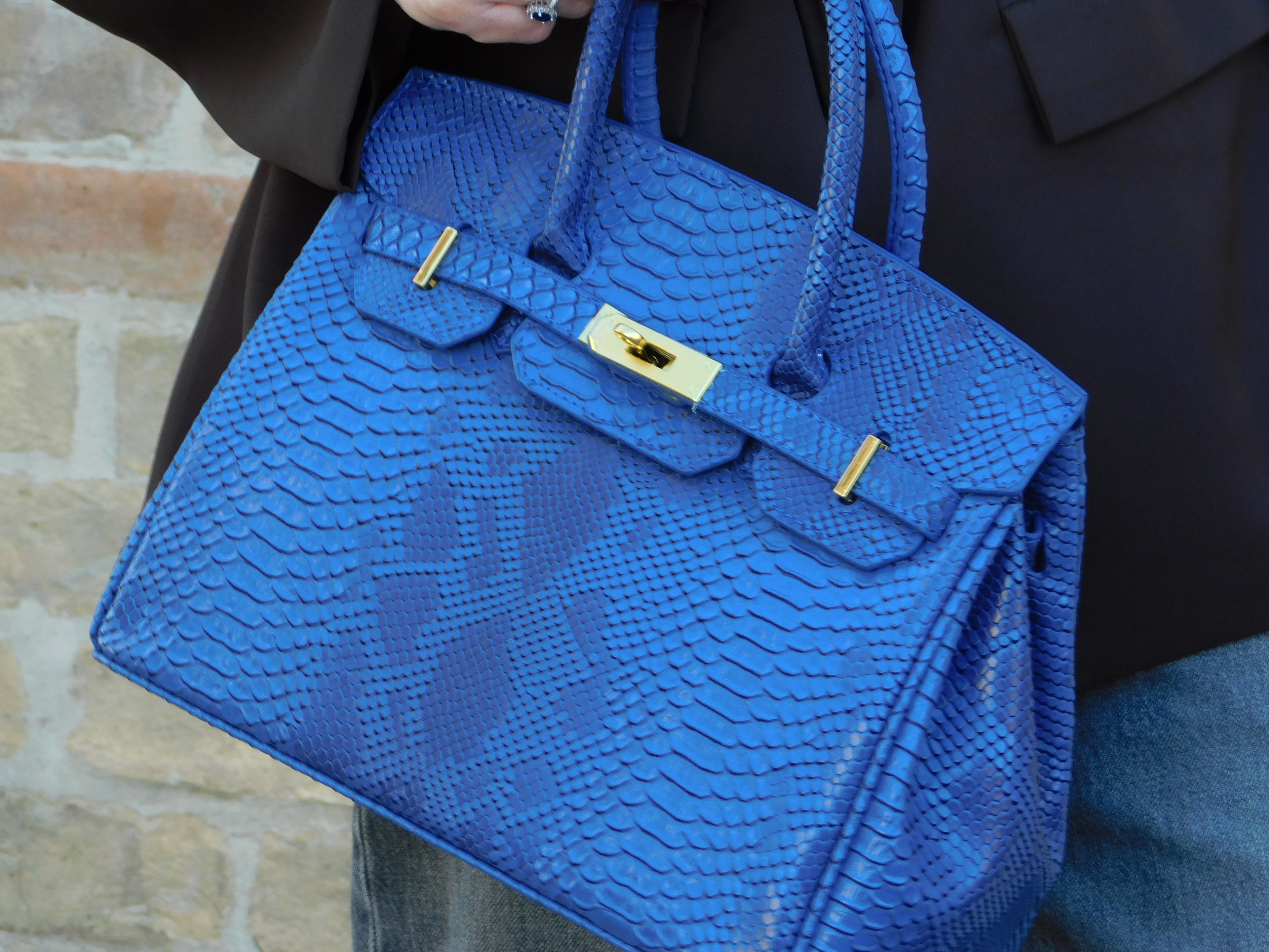ELECTRIC BLUE PHYTON 30cm