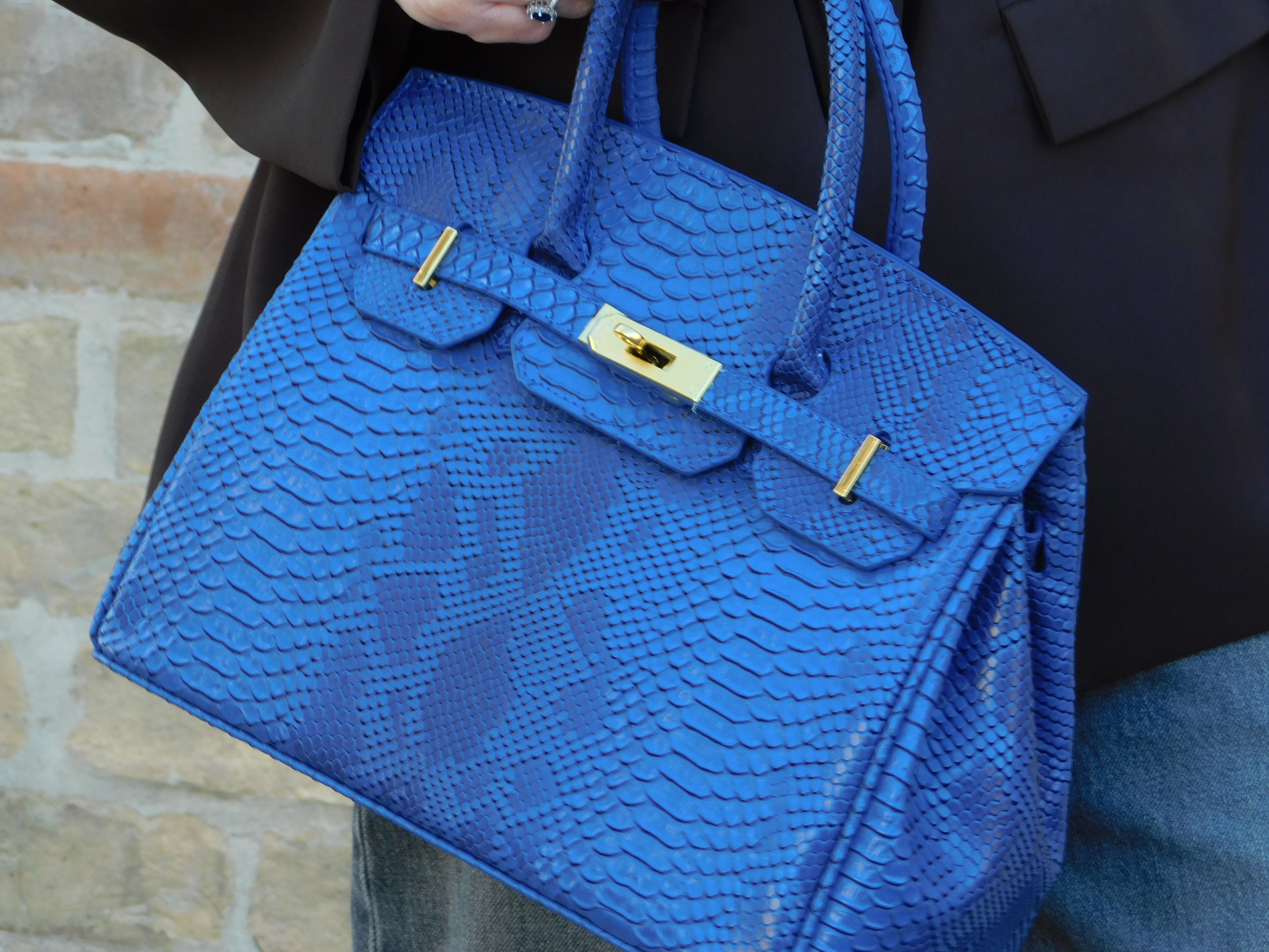 ELECTRIC BLUE PHYTON 30cm