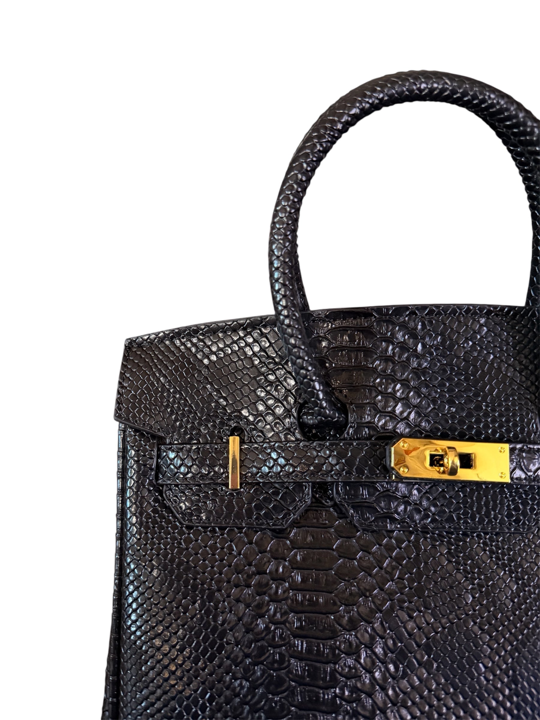 Midnight Black Python 30cm