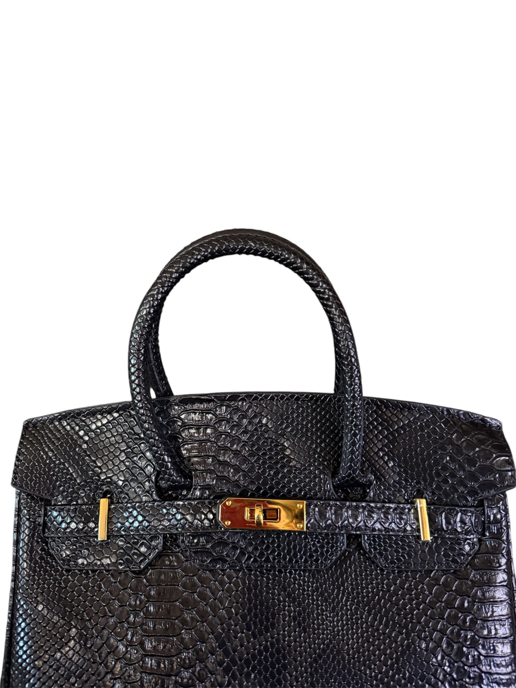 Midnight Black Python 30cm