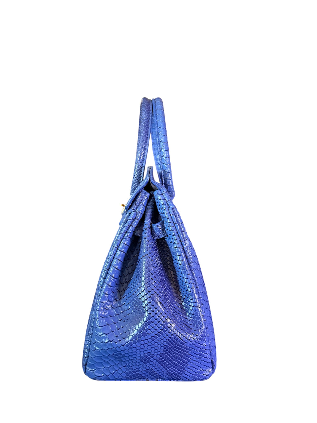 ELECTRIC BLUE PHYTON 30cm