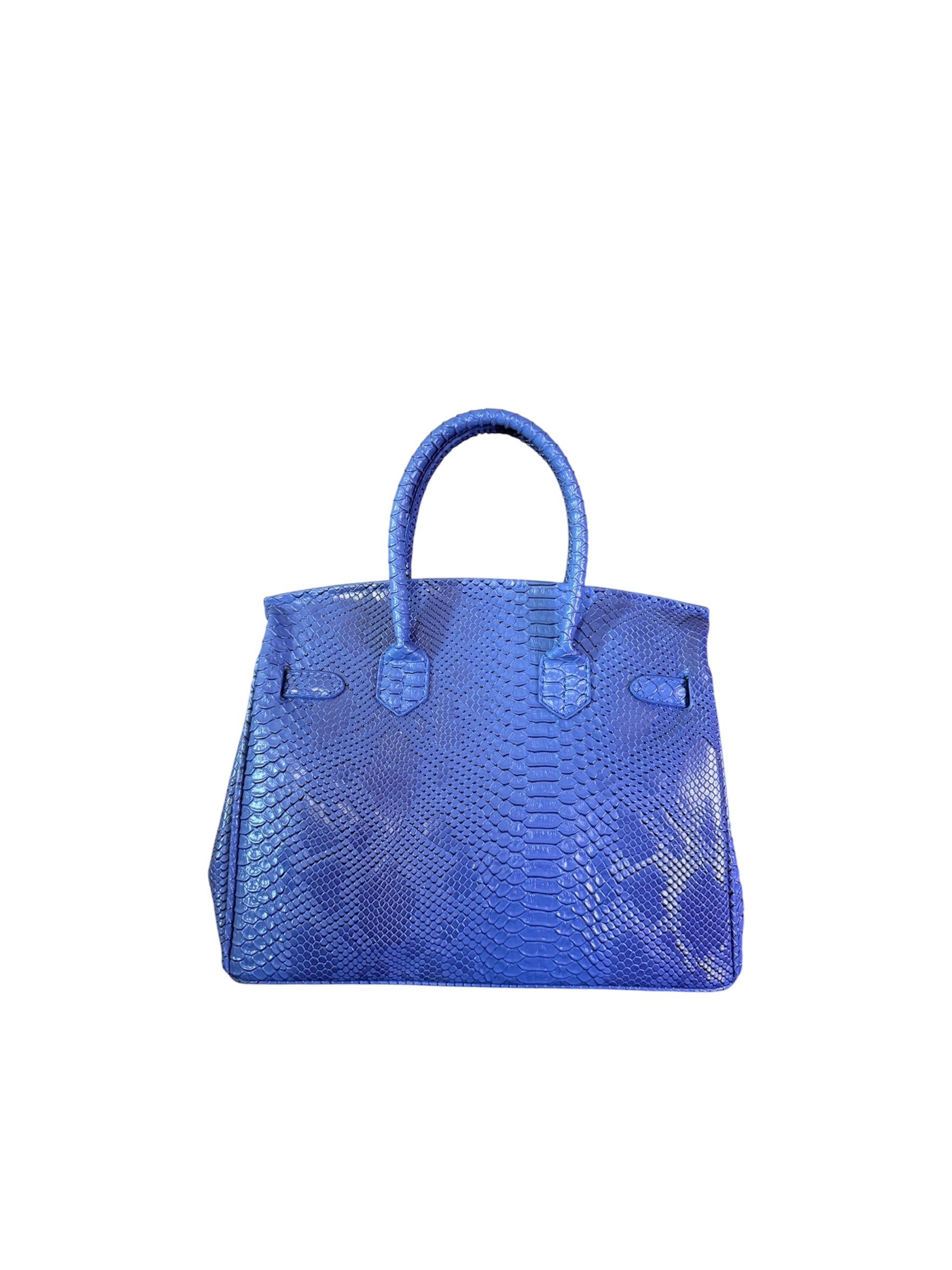 ELECTRIC BLUE PHYTON 30cm