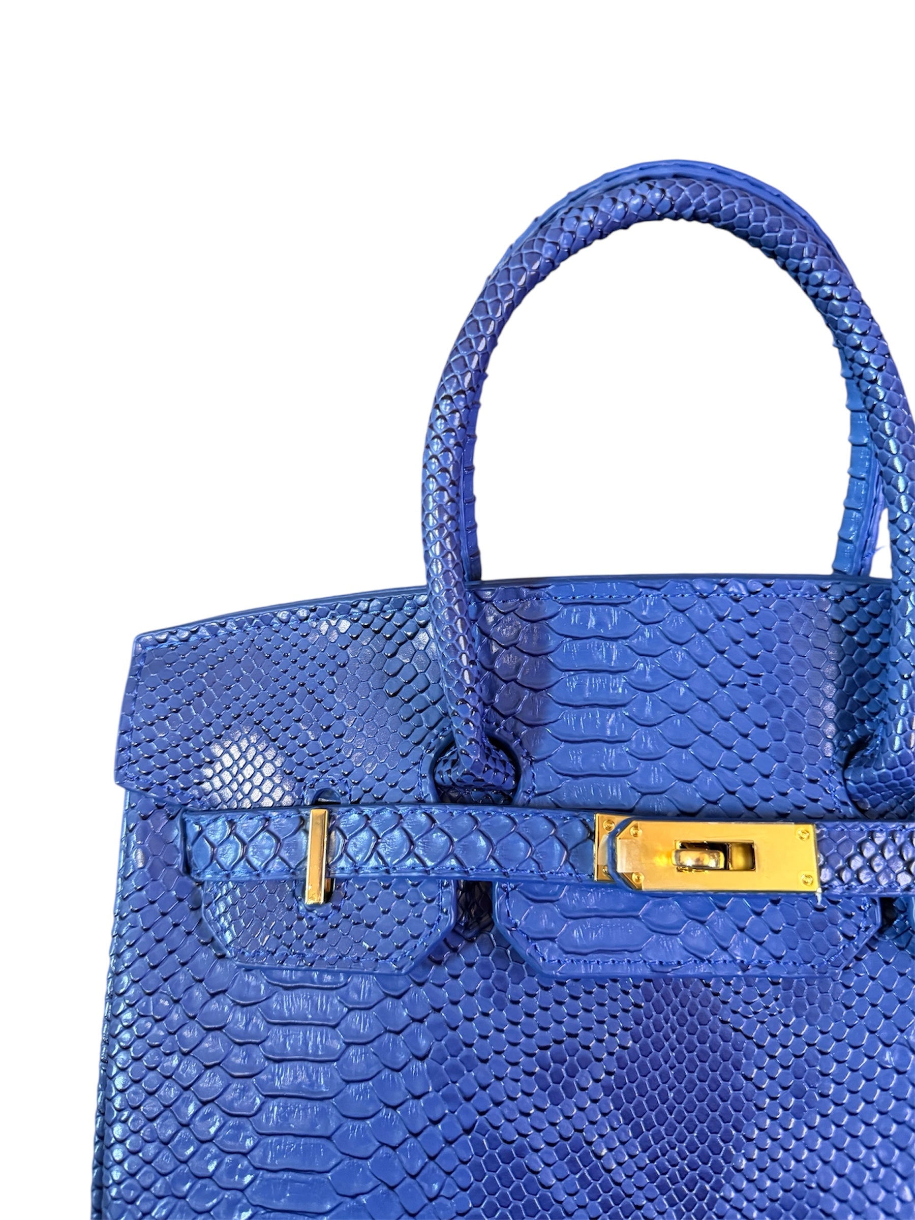 ELECTRIC BLUE PHYTON 30cm